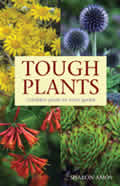 Tough Plants Unkillable Plants For Every Garden