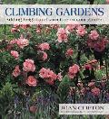 Climbing Gardens Adding Height & Structu