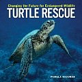 Turtle Rescue: Changing the Future for Endangered Wildlife
