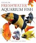Focus On Freshwater Aquarium Fish