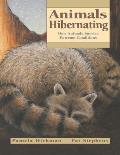 Animals Hibernating How Animals Survive