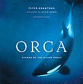 Orca Visions of the Killer Whale