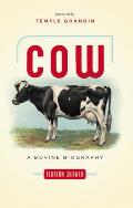 Cow A Bovine Biography