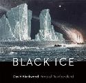 Black Ice David Blackwoods Prints of Newfoundland