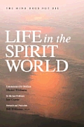 Life in the Spirit World
