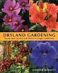 Dryland Gardening Plants That Survive & Thrive in Tough Conditions