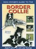 Dog Owners Guide To The Border Collie