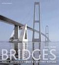 Bridges Three Thousand Years of Defying Nature