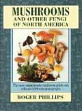 Mushrooms & Other Fungi Of North America