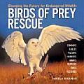 Birds of Prey Rescue Changing the Future for Endangered Wildlife