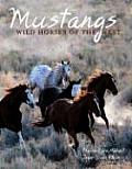 Mustangs Wild Horses Of The West