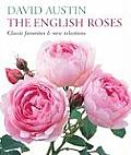 English Roses Classic Favorites & New Selections