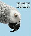Smartest Animals on the Planet Extraordinary Tales of the Natural Worlds Cleverest Creatures