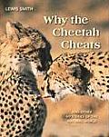 Why The Cheetah Cheats