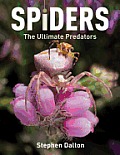 Spiders The Ultimate Predators