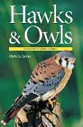 Hawks & Owls of Eastern North America 2nd Edition Revised & Expanded