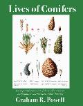 Lives of Conifers A Comparative Account of the Coniferous Trees Indigenous to Northeastern North America