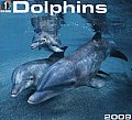 Cal09 Dolphins