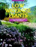 Low Water Use Plants For California & Th