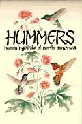 Hummers Hummingbirds Of North America