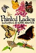 Painted Ladies Butterflies of North America