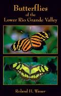 Butterflies of the Lower Rio Grande