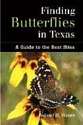 Finding Butterflies in Texas: A Guide to the Best Sites