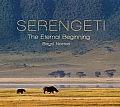 Serengeti The Eternal Beginning
