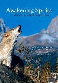 Awakening Spirits Wolves in the Southern Rockies
