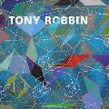 Tony Robbin: A Retrospective: Paintings and Drawings 1970-2010