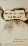 Burning Down The House Essays On Fiction