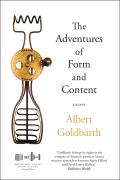 Adventures of Form & Content Essays