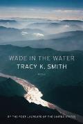 Wade in the Water Poems