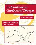 Introduction to Craniosacral Therapy Anatomy Function & Treatment