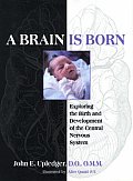 Brain Is Born Exploring The Birth & Development of the Central Nervous System