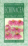 Echinacea The Plant That Boosts Your I