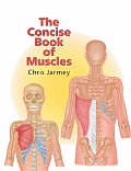 Concise Book Of Muscles