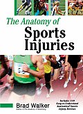 Anatomy Of Sports Injuries