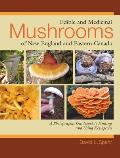 Edible & Medicinal Mushrooms of New England & Eastern Canada