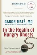 In The Realm Of Hungry Ghosts Close Encounters With Addiction
