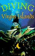 Diving The Virgin Islands