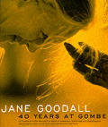 Jane Goodall 40 Years At Gombe