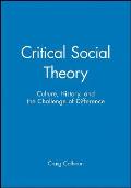 Critical Social Theory: Culture, History, and the Challenge of Difference