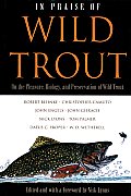 In Praise Of Wild Trout