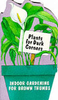 Plants For Dark Corners