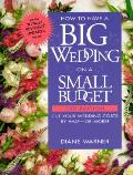 How To Have A Big Wedding On A Small Budget 3rd edition