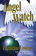 Angel Watch Goosebumps Signs Dreams & Divine Nudges