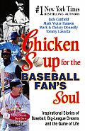 Chicken Soup For The Baseball Fans Soul