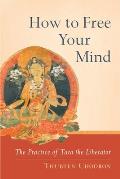 How to Free Your Mind the Practice of Tara the Liberator