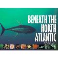 Beneath The North Atlantic